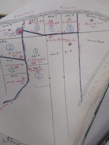 Photos 3 Awatere Sea View Residents